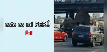 Dinosaurio se atora bajo puente Acho, causa caos vehicular y usuarios reaccionan: "Solo en Perú"
