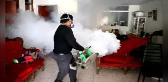 Autoridades unen esfuerzos para disminuir casos de dengue