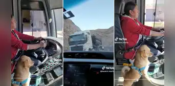 “Siempre atento, Firulais”: mujer sorprende al conducir en compañía de su mascota en Puno “Siempre atento, Firulais”: mujer sorprende al conducir en compañía de su mascota en Puno