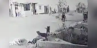 Madre denuncia que su hija de 7 años, atacada por dos perros, no recibió ayuda en Trujillo
