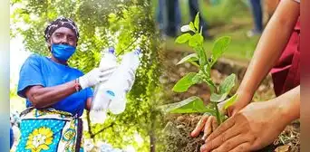Día del Medio Ambiente: ¿por qué se celebra este 5 de junio y cuál es su origen? Día del Medio Ambiente: ¿por qué se celebra este 5 de junio y cuál es su origen?