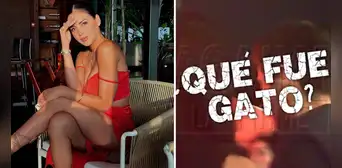El curioso mensaje en redes de Gianella Rázuri, la modelo que es vinculada con ‘Gato’ Cuba El curioso mensaje en redes de Gianella Rázuri, la modelo que es vinculada con ‘Gato’ Cuba