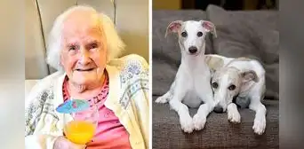Mujer comparte su polémico consejo para llegar a los 108 años: “Tener perros en lugar de hijos”
