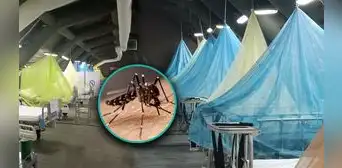 ¡Situación crítica en Piura! Hospital en Sullana atiende hasta a 2 niños con dengue en una sola cama ¡Situación crítica en Piura! Hospital en Sullana atiende hasta a 2 niños con dengue en una sola cama