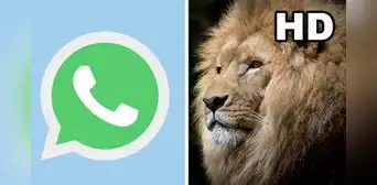 WhatsApp ya permite enviar fotos en HD: conoce cómo funciona la herramienta