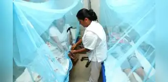 Dengue en el Perú: enfermedad deja 48 fallecidos en Lambayeque y 8 en La Libertad Dengue en el Perú: enfermedad deja 48 fallecidos en Lambayeque y 8 en La Libertad