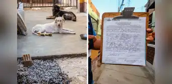 Bellavista: sancionan a vecina con más de 2.000 soles por tener dos mascotas en malas condiciones