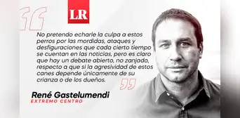 ¿Qué hacemos con los pitbulls?, por René Gastelumendi