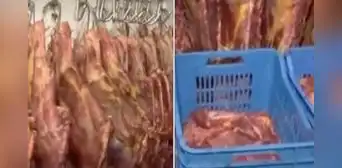 Ate: mataban 50 caballos al día para venderlos como carne de res en mercados La Parada y Caquetá Ate: mataban 50 caballos al día para venderlos como carne de res en mercados La Parada y Caquetá