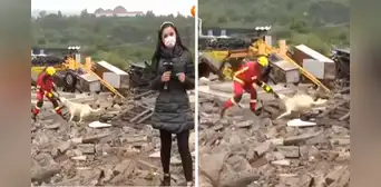 ¡La pelea del siglo!: perro y bombero se enfrentan por un trapo y lo transmiten en vivo