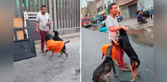 Cercado de Lima: rescatan más de 20 perros durante incendio en almacén Cercado de Lima: rescatan más de 20 perros durante incendio en almacén