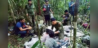 ¿Qué pasó con los niños y el perro Wilson perdidos 40 días en la selva de Colombia? ¿Qué pasó con los niños y el perro Wilson perdidos 40 días en la selva de Colombia?
