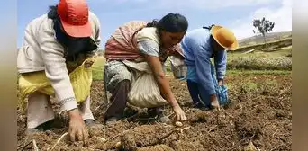 Senamhi advierte déficit hídrico ante fenómeno del Niño Global Senamhi advierte déficit hídrico ante fenómeno del Niño Global
