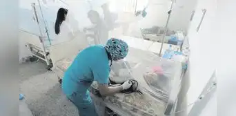 Dengue: el 30% de pacientes con dengue son niños y adolescentes Dengue: el 30% de pacientes con dengue son niños y adolescentes