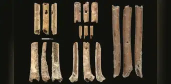 Música prehistórica: descubren flautas de hueso de hace 12.000 años y las hacen sonar Música prehistórica: descubren flautas de hueso de hace 12.000 años y las hacen sonar