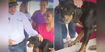 La Victoria: alcalde adopta perrita rescatada de incendio La Victoria: alcalde adopta perrita rescatada de incendio