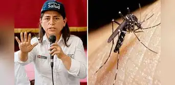 Dengue en Perú: ministra de Salud asegura que el porcentaje de hospitalizados descendió en un 70% Dengue en Perú: ministra de Salud asegura que el porcentaje de hospitalizados descendió en un 70%