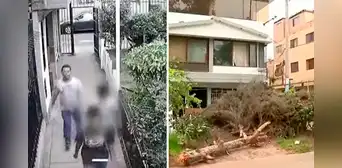 Ate: 2 niños casi son aplastados por un árbol que se cayó en un parque Ate: 2 niños casi son aplastados por un árbol que se cayó en un parque