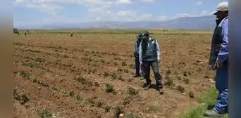 ¿Fenómeno El Niño afectará a la región Puno? Esto dice el Senamhi