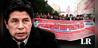 Pedro Castillo: Ministerio del Trabajo anuló inscripción del Fenate Perú, sindicato del expresidente Pedro Castillo: Ministerio del Trabajo anuló inscripción del Fenate Perú, sindicato del expresidente