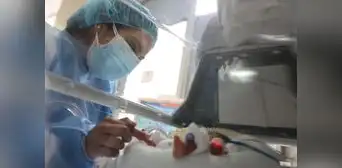 Bebés nacen con dengue y niño muere por dicho mal en el norte Bebés nacen con dengue y niño muere por dicho mal en el norte