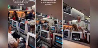 Escape de gato dentro de avión paraliza a toda una tripulación: “Quería viajar en primera clase”