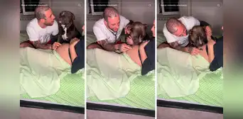 Perrito tiene tierna reacción al escuchar los latidos del bebé que esperan sus dueños: "Cuánto amor"