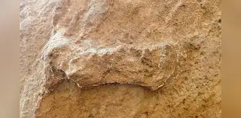 Encuentran la huella humana más antigua en el mundo