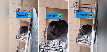 Destruye una pared de edificio para remodelar su departamento y le llueven críticas: “Negligencia total” Destruye una pared de edificio para remodelar su departamento y le llueven críticas: “Negligencia total”