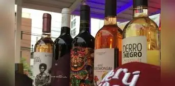 ¿Sin planes para el 'finde'? Conoce el Salón del Vino Peruano, una fiesta a la bebida nacional ¿Sin planes para el 'finde'? Conoce el Salón del Vino Peruano, una fiesta a la bebida nacional