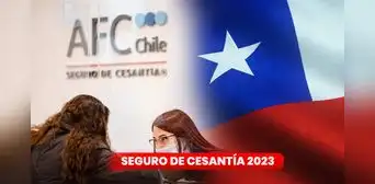 Estos son los requisitos para cobrar el Seguro de Cesantía con tu RUT: ¡fácil y rápido! Estos son los requisitos para cobrar el Seguro de Cesantía con tu RUT: ¡fácil y rápido!