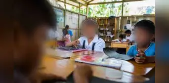 ¿Cuáles son los cursos obligatorios en educación primaria en el Perú?