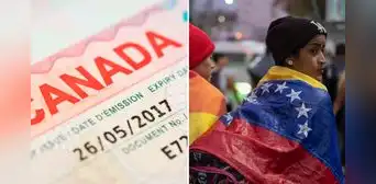 Visa canadiense para venezolanos: ¿cuáles son los requisitos para sacarla y cuánto cuesta? Visa canadiense para venezolanos: ¿cuáles son los requisitos para sacarla y cuánto cuesta?