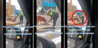 Policía le da comida a perrito callejero y enternece las redes: "Hay esperanza en la humanidad" Policía le da comida a perrito callejero y enternece las redes: "Hay esperanza en la humanidad"