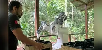 Un robot para reforestar la Amazonía Un robot para reforestar la Amazonía