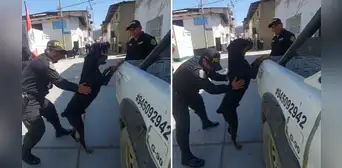 Perrito de la Policía actúa como un 'bandido en requisa' en La Libertad
