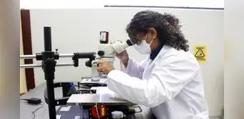 Beca para mujeres científicas: ganadoras obtendrán S/50.000 para financiar investigaciones Beca para mujeres científicas: ganadoras obtendrán S/50.000 para financiar investigaciones