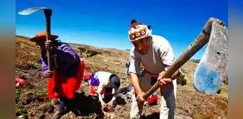 ¿El Día del Campesino es feriado en Perú? ¿El Día del Campesino es feriado en Perú?