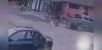 SJM: cámaras captan instante en que auto atropella a hombre que alimentaba a perros callejeros SJM: cámaras captan instante en que auto atropella a hombre que alimentaba a perros callejeros
