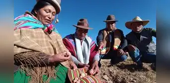 Escasez de alimentos en Puno por sequía: un problema que los agricultores muestran al Gobierno