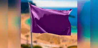 ¿Viste el morado en alguna bandera? Esta es la razón por la que ningún país eligió ese color ¿Viste el morado en alguna bandera? Esta es la razón por la que ningún país eligió ese color