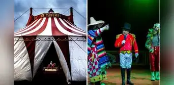 Circos en julio 2023: cuáles son, precio de entradas en Lima, funciones disponibles y más Circos en julio 2023: cuáles son, precio de entradas en Lima, funciones disponibles y más