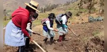 Cofide: más del 60% de participantes rurales en uniones de crédito y ahorro son mujeres Cofide: más del 60% de participantes rurales en uniones de crédito y ahorro son mujeres