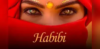 ¿Qué significa "habibi" en árabe, cómo se pronuncia y en qué momento usarlo? ¿Qué significa "habibi" en árabe, cómo se pronuncia y en qué momento usarlo?