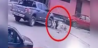 Hombre que fue atropellado mientras alimentaba a perros de la calle se encuentra en UCI: "No sé si vivirá"