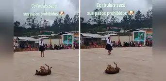 Perrito se roba el show durante actuación escolar y causa furor con sus ‘pasos prohibidos’ Perrito se roba el show durante actuación escolar y causa furor con sus ‘pasos prohibidos’