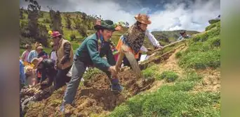 Historia del Día del Campesino: ¿por qué se celebra cada 24 de junio en el Perú? Historia del Día del Campesino: ¿por qué se celebra cada 24 de junio en el Perú?