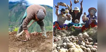 ¿El Día del Campesino es feriado en Perú? Lo que se sabe HOY ¿El Día del Campesino es feriado en Perú? Lo que se sabe HOY