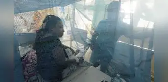 Reportan 100 personas fallecidas por dengue en Piura Reportan 100 personas fallecidas por dengue en Piura