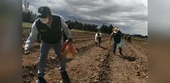 Trabajadores agrarios tienen derecho a percibir 30 % de la remuneración mínima vital como bono Trabajadores agrarios tienen derecho a percibir 30 % de la remuneración mínima vital como bono